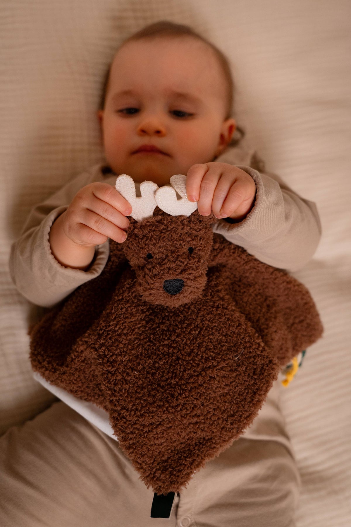 Little Big Friends Baby Comforter - Bruce the Moose