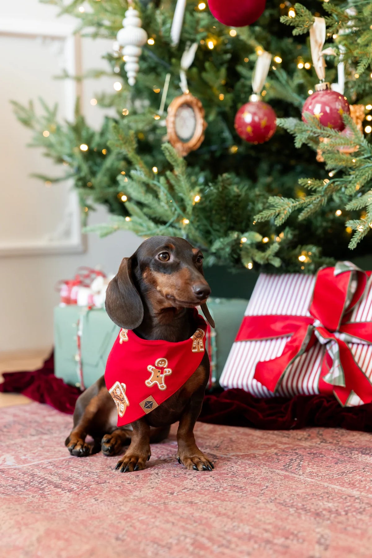 Kyte Dog Bandana in Gingerbread