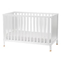 Little Seeds Aster 4 in 1 Convertible Crib - Online Exclusive
