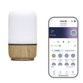 Safety First Smart Soother with Light & Sound - Online Exclusive