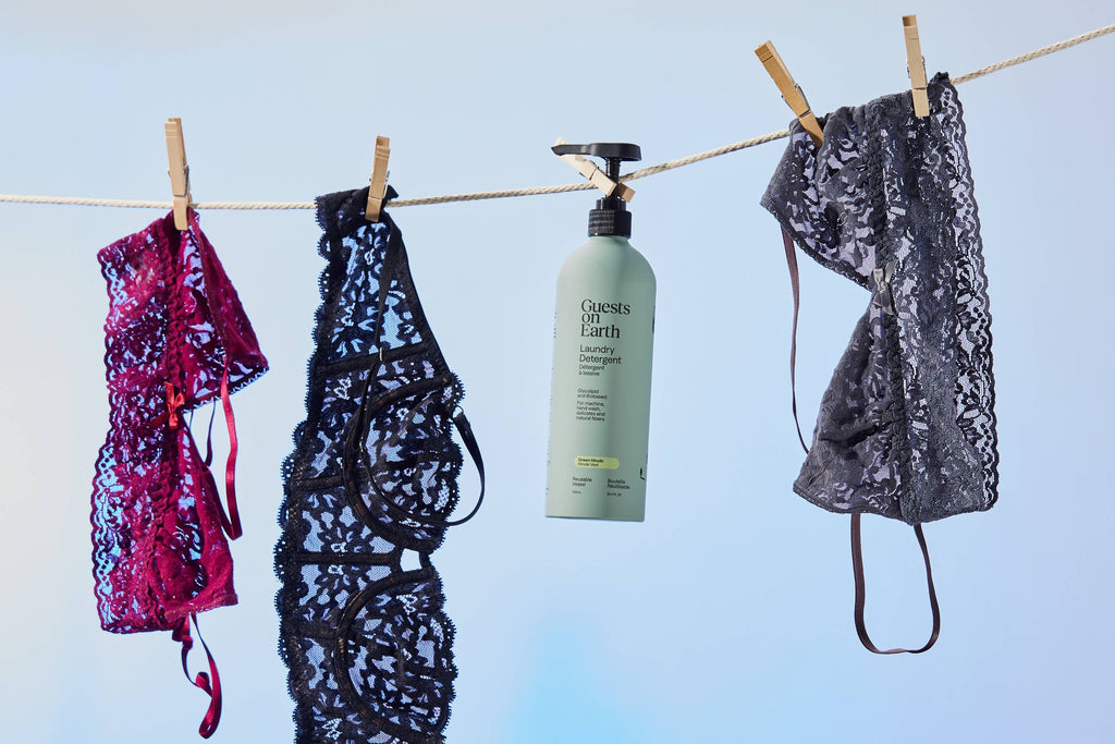 Guests on Earth - Laundry Detergent: Green Hinoki