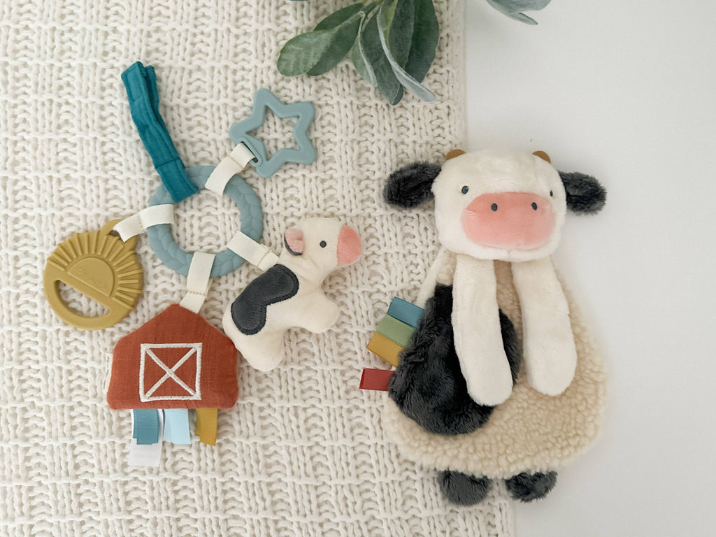 Itzy Ritzy Bitzy Busy Gift Set