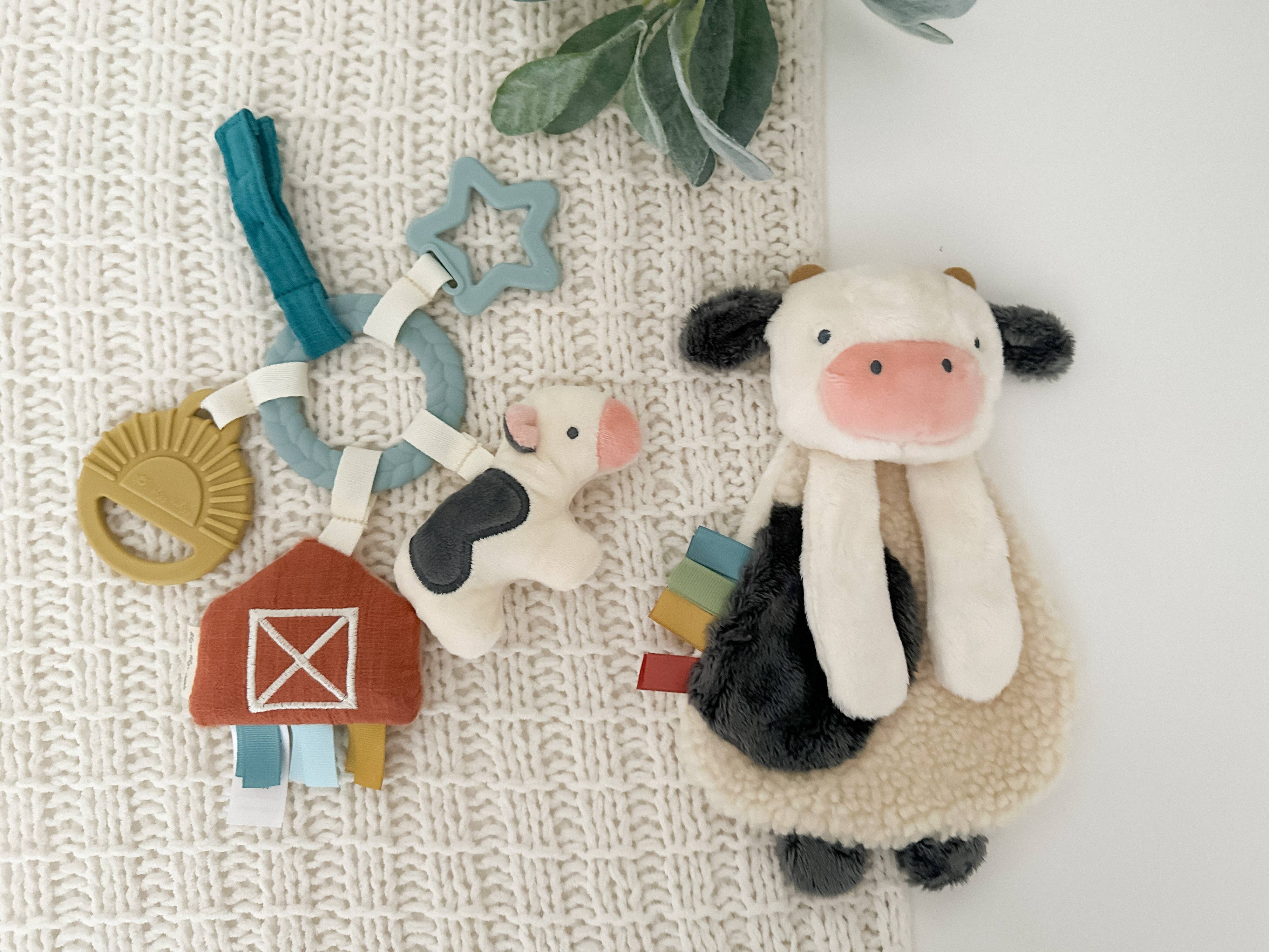 Itzy Ritzy Bitzy Busy Gift Set
