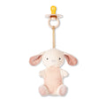 Itzy Ritzy Bitzy Pal Bunny Natural Rubber Pacifier & Plush