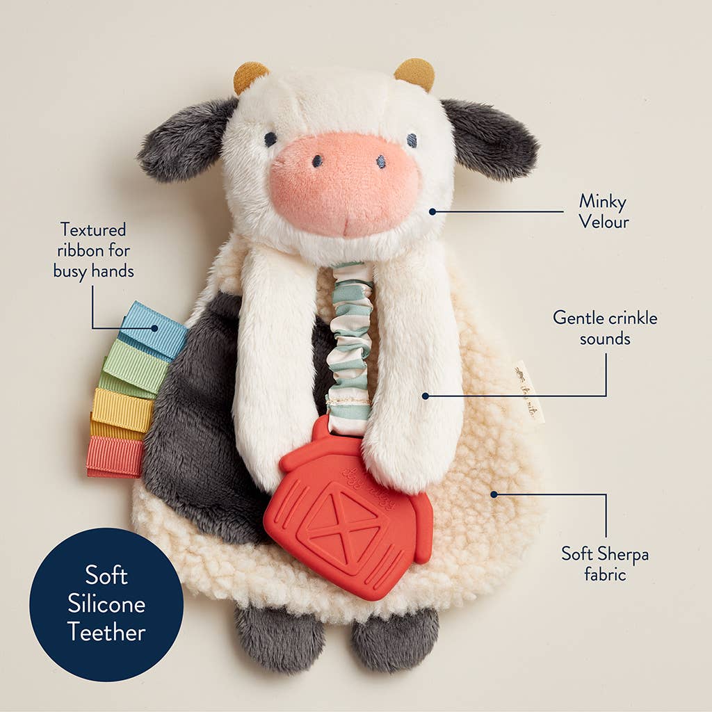 Itzy Ritzy Itzy Friends Theo The Bear Lovey Plush