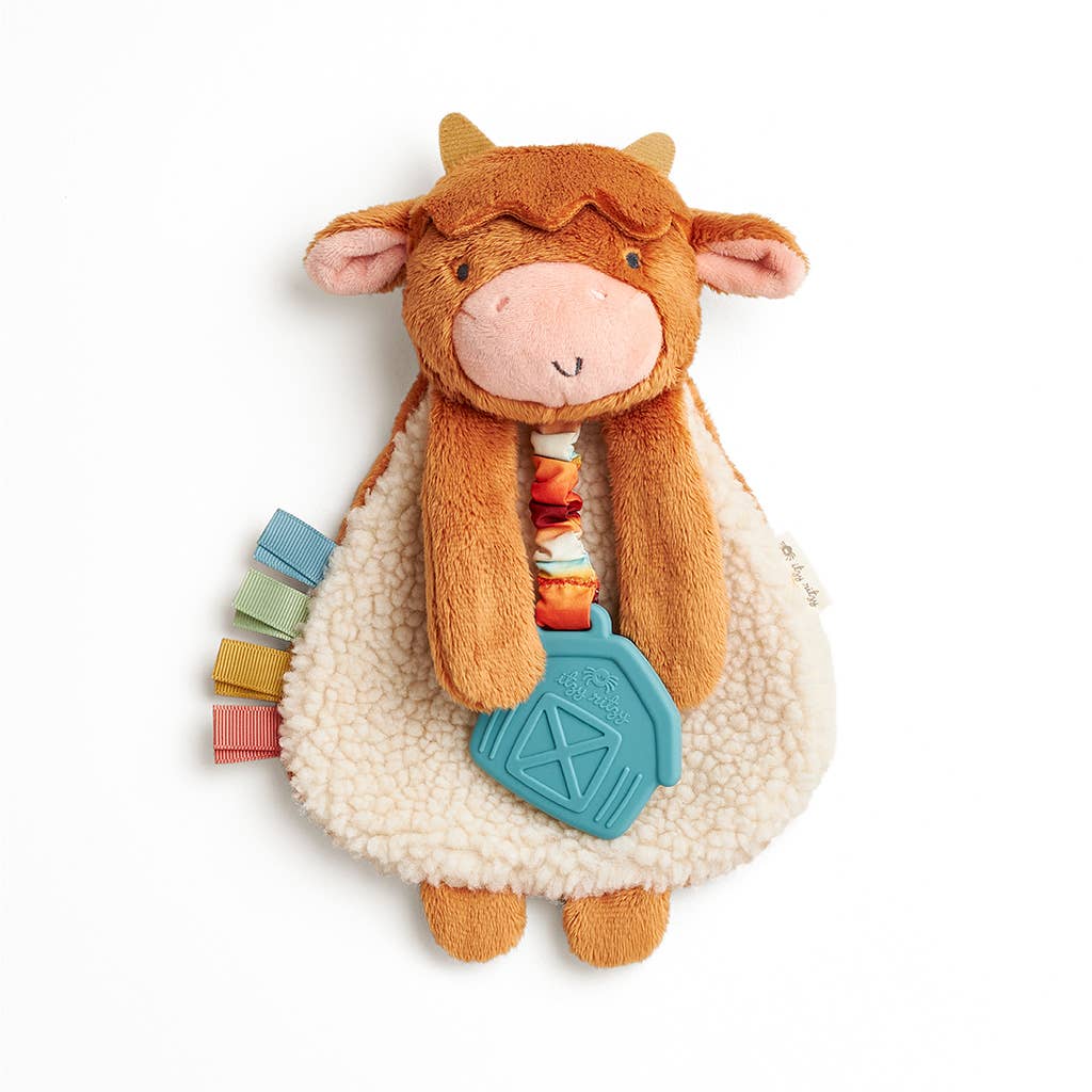 Itzy Ritzy Itzy Friends Theo The Bear Lovey Plush