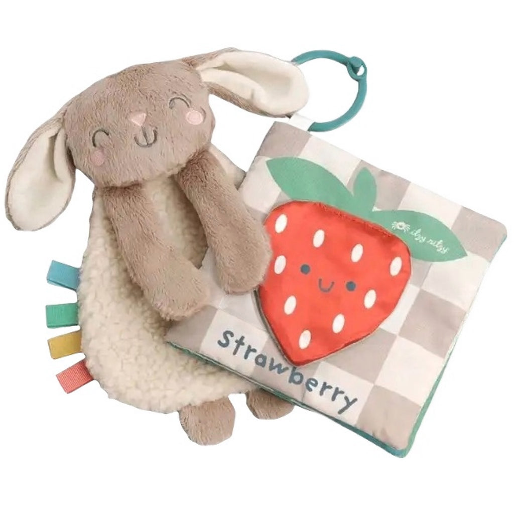 Itzy Ritzy Itzy Learn & Snuggle Gift Set