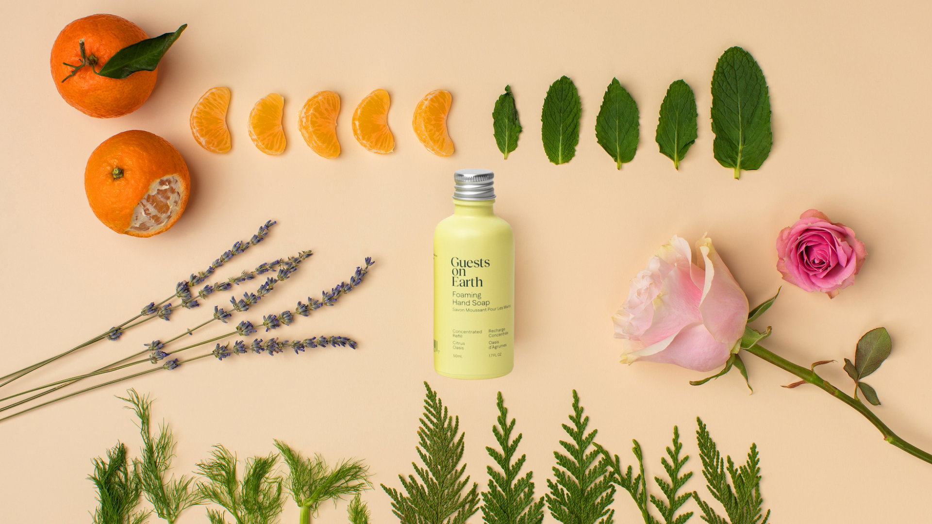 Guests on Earth - All-Purpose Cleaner : Citrus Oasis