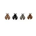 Royce and Oak Lady Bug Earrings